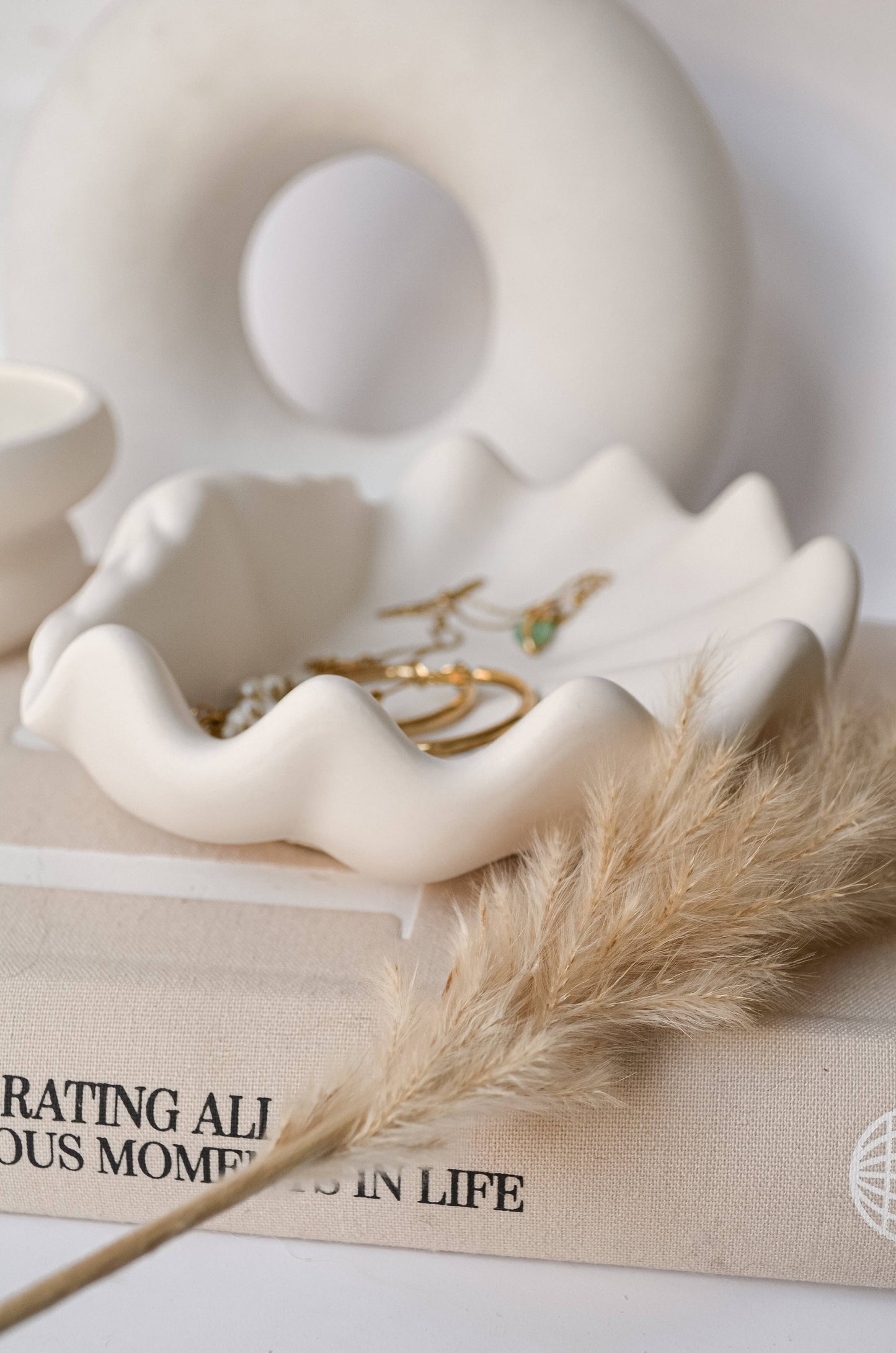 Sea Scallop Jewellery Holder