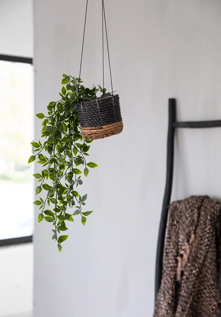 De bananenplantenhanger - Natuurlijk zwart - S