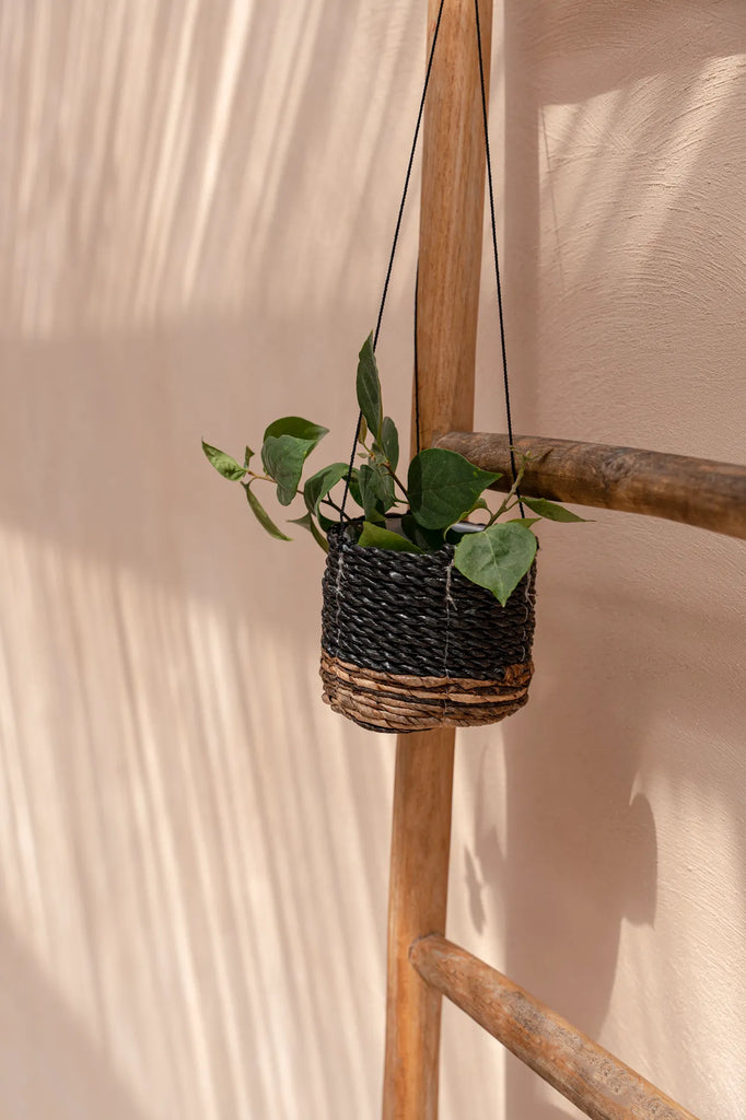 De bananenplantenhanger - Natuurlijk zwart - S