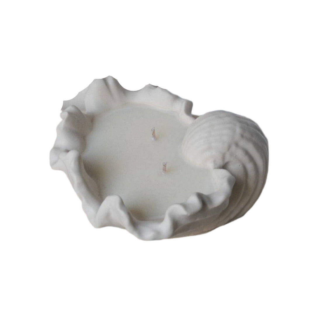 Scallop Relaxing Beach Candle (Lemon & Lavender)
