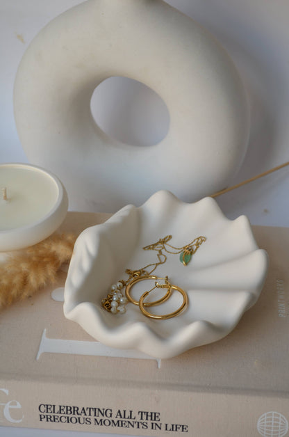 Sea Scallop Jewellery Holder