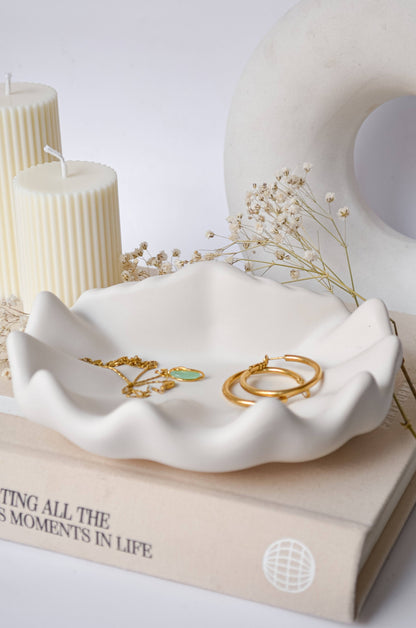 Sea Scallop Jewellery Holder