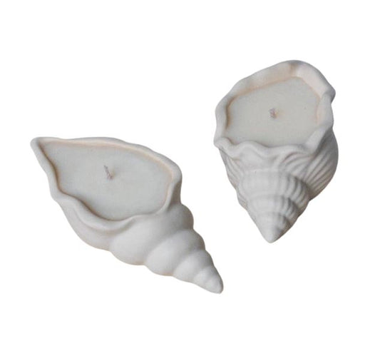 Seashell Beach Candles (Set of 2 - Lemon & Lavender)